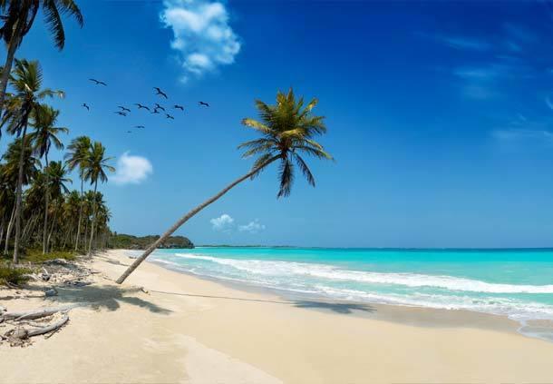 Mangro Hotel Diani Beach Eksteriør bilde